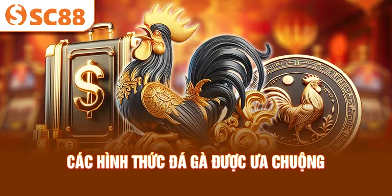 cac-hinh-thuc-da-ga-duoc-ua-chuong_13_11zon