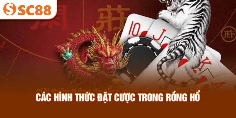 cac-hinh-thuc-dat-cuoc-trong-rong-ho_14_11zon