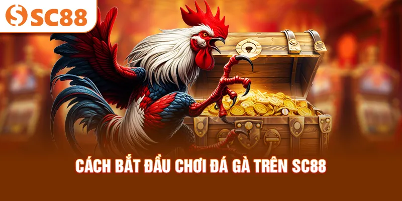 cach-bat-dau-choi-da-ga-tren-sc88_16_11zon