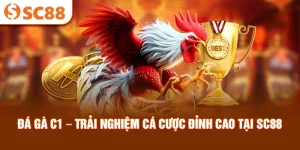 da-ga-c1-–-trai-nghiem-ca-cuoc-dinh-cao-tai-sc88_22