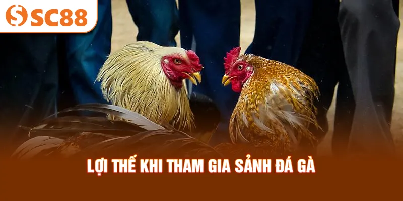 loi-the-khi-tham-gia-sanh-da-ga_42_11zon